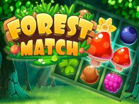 Forest Match Puzzle Game