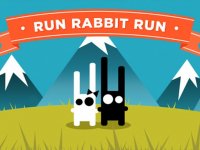Rabbit Dash Adventure