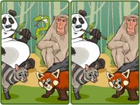 Wildlife Safari Five Diffs Online Puzzle Game