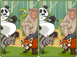Wildlife Safari Five Diffs Online Puzzle Game