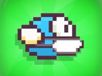Sky Bird Arcade Game