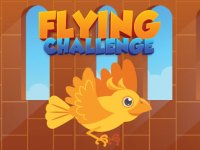 Sky Flight Arcade Adventure