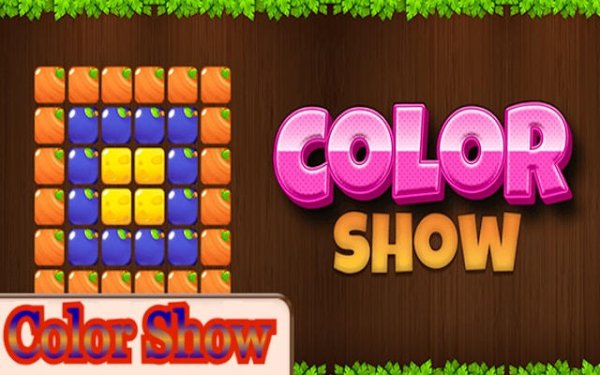 Color Show: Pattern Match Puzzle Online Game