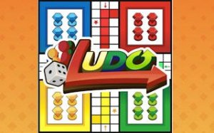 Ludo Offline Family Board Classic