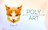 Poly Art Shape Puzzle