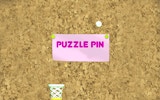 Pin Path Puzzle: Physics Puzzle