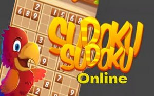 Sudoku Logic Number Puzzle