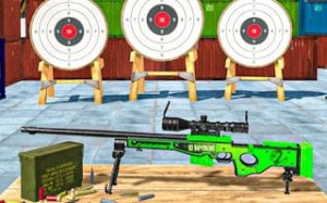 Precision Target Sports Challenge