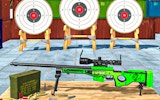 Precision Target Sports Challenge
