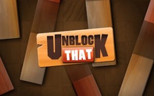 Sliding Block Logic Puzzle